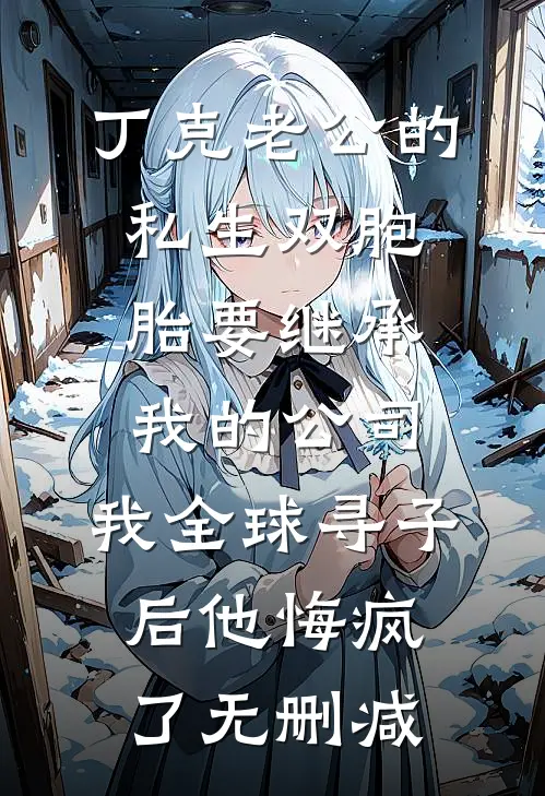 丁克老公的私生双胞胎要继承我的公司，我全球寻子后他悔疯了无删减