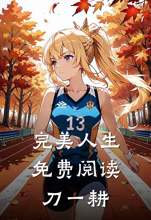 完美人生免费阅读刀一耕
