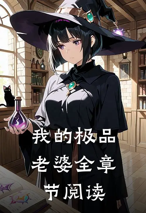 我的极品老婆全章节阅读