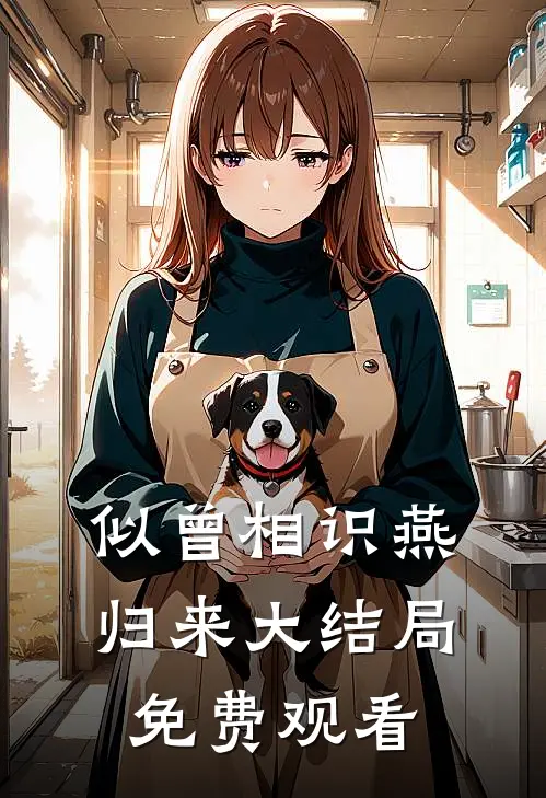 似曾相识燕归来大结局免费观看