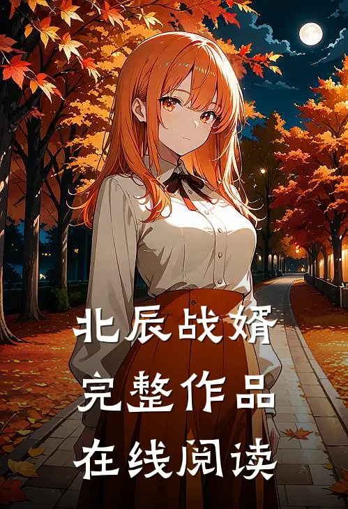 北辰战婿完整作品在线阅读