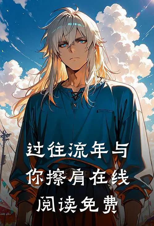 过往流年与你擦肩在线阅读免费