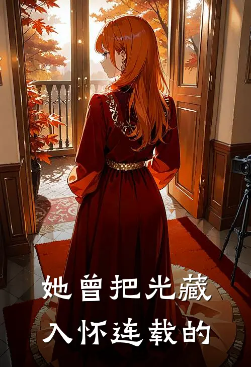 她曾把光藏入怀连载的