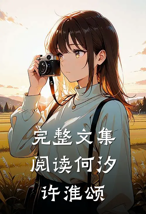 完整文集阅读何汐许淮颂