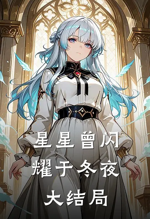 星星曾闪耀于冬夜大结局