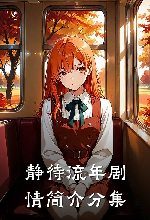 静待流年剧情简介分集