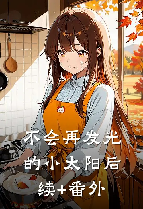 不会再发光的小太阳后续+番外
