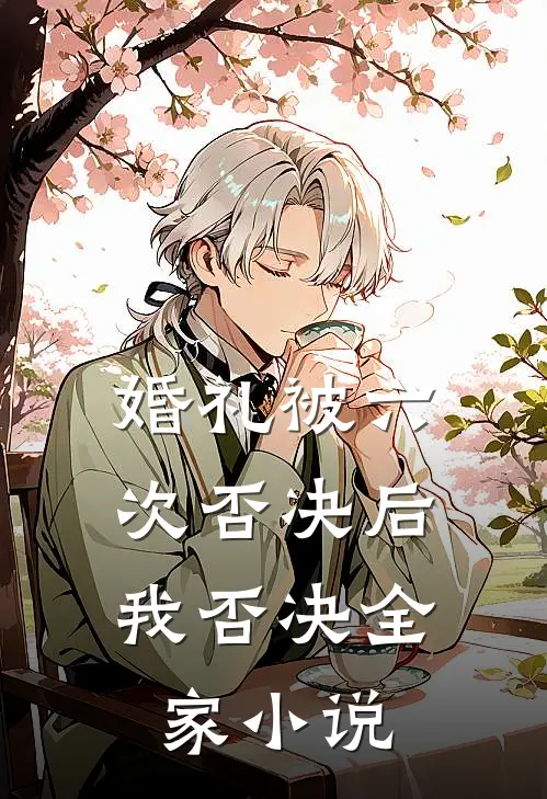 婚礼被六次否决后，我否决全家小说
