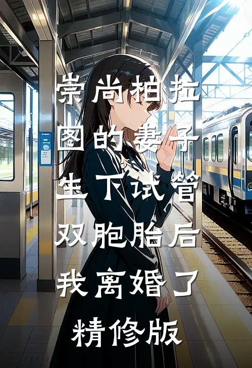崇尚柏拉图的妻子生下试管双胞胎后，我离婚了精修版