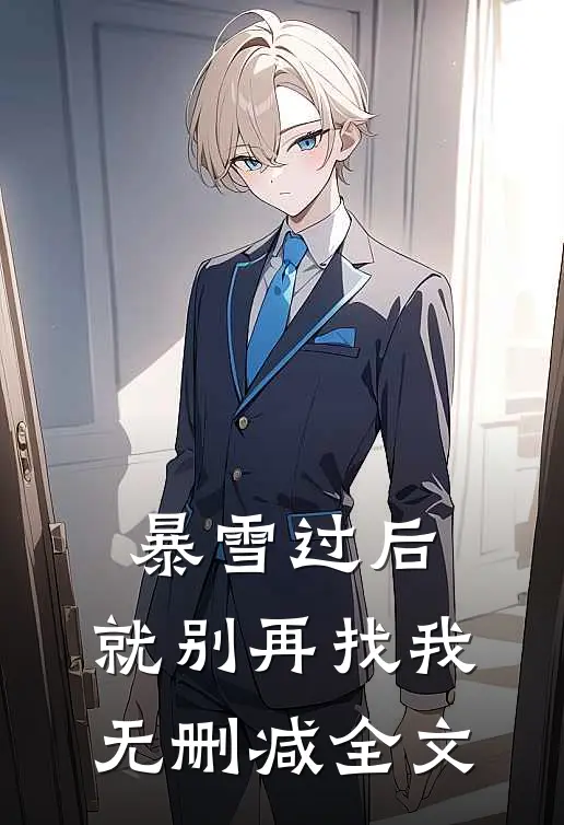 暴雪过后，就别再找我无删减全文