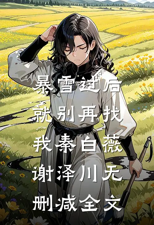 暴雪过后，就别再找我秦白薇谢泽川无删减全文