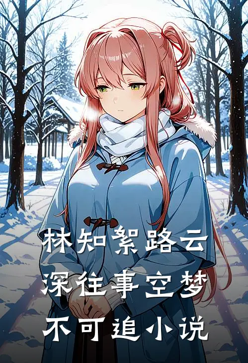 林知絮路云深往事空梦不可追小说