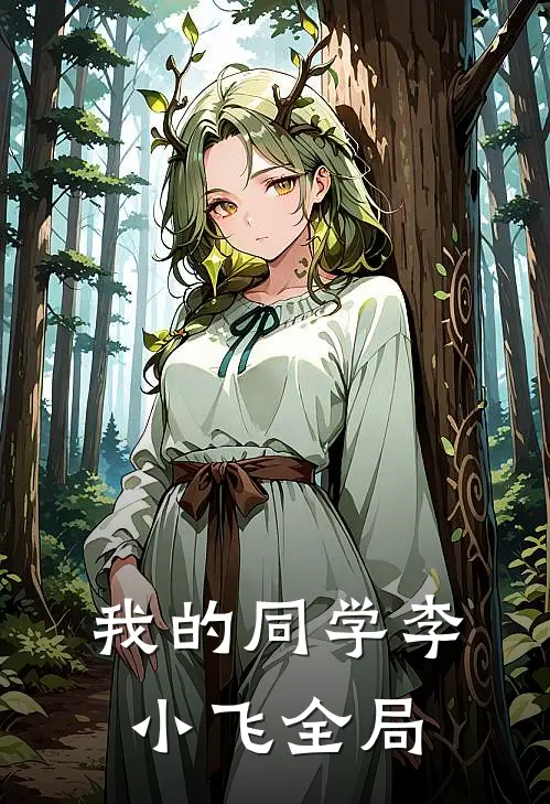 我的同学李小飞全局