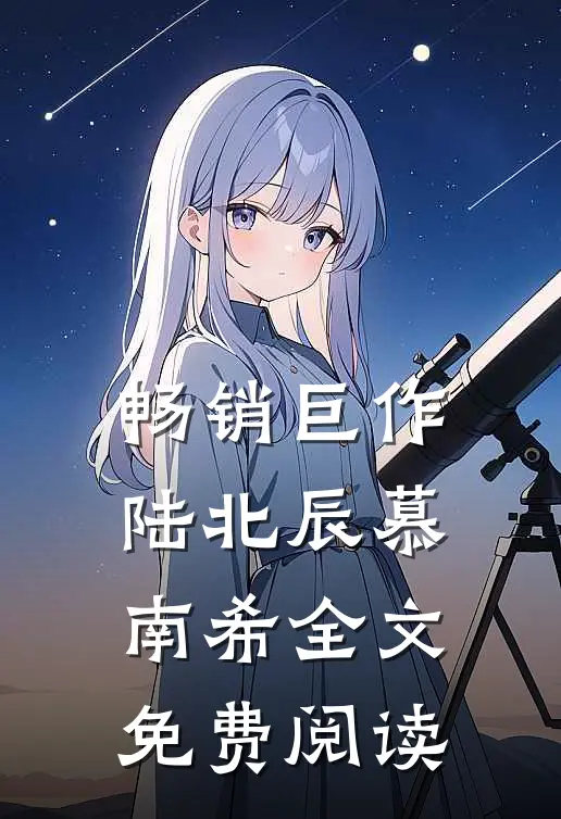 畅销巨作陆北辰慕南希全文免费阅读