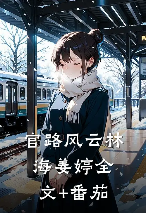 官路风云林海姜婷全文+番茄