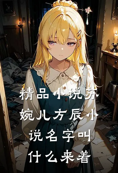 精品小说苏婉儿方辰小说名字叫什么来着
