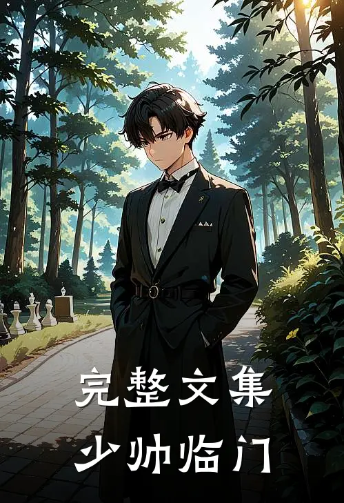 完整文集少帅临门