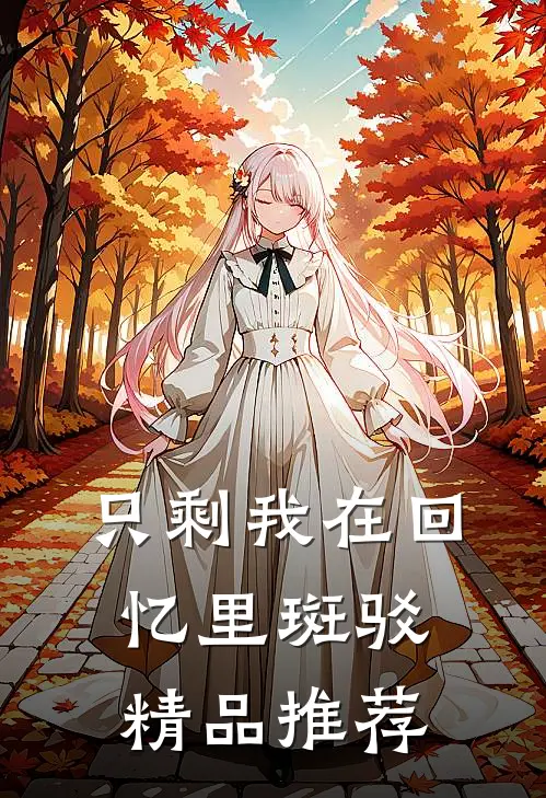只剩我在回忆里斑驳精品推荐