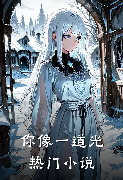 你像一道光热门小说