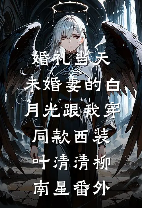 婚礼当天，未婚妻的白月光跟我穿同款西装叶清清柳南星 番外