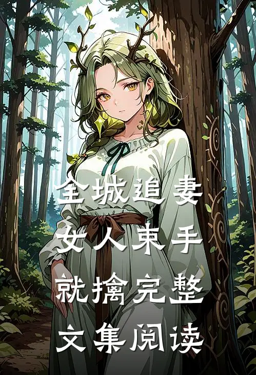 全城追妻：女人束手就擒完整文集阅读