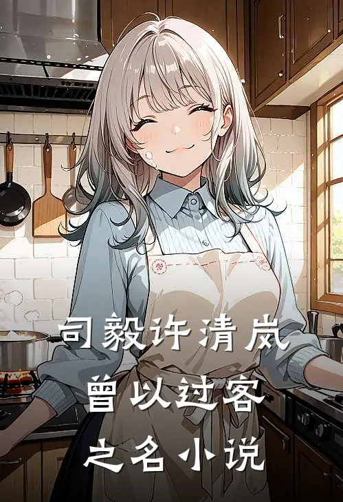 司毅许清岚曾以过客之名小说