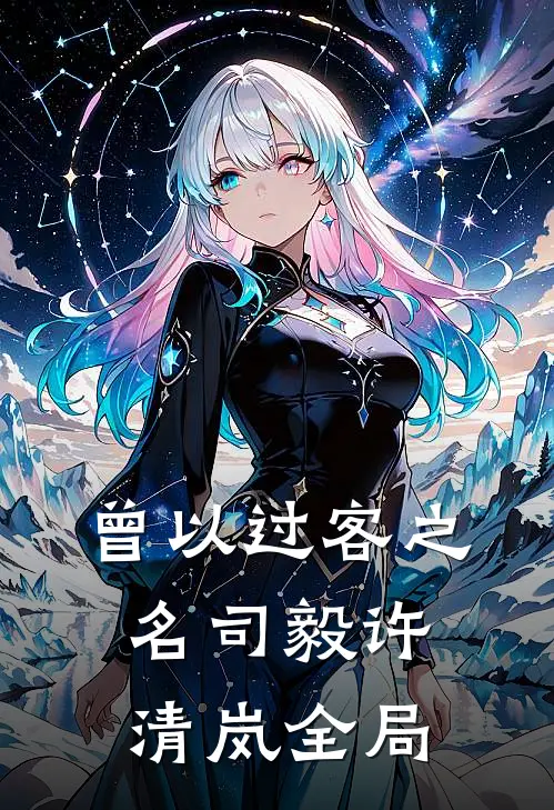 曾以过客之名司毅许清岚全局