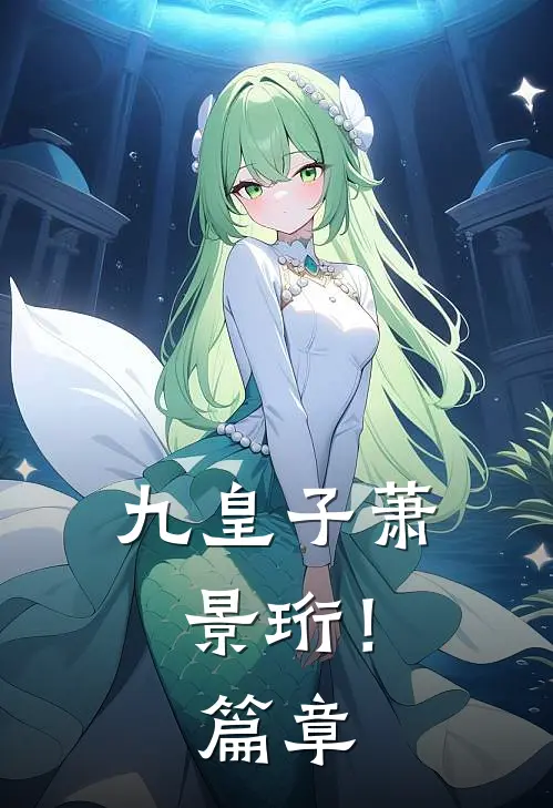 九皇子萧景珩！篇章