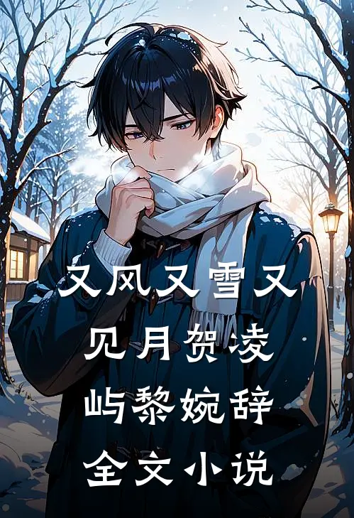 又风又雪又见月贺凌屿黎婉辞全文小说