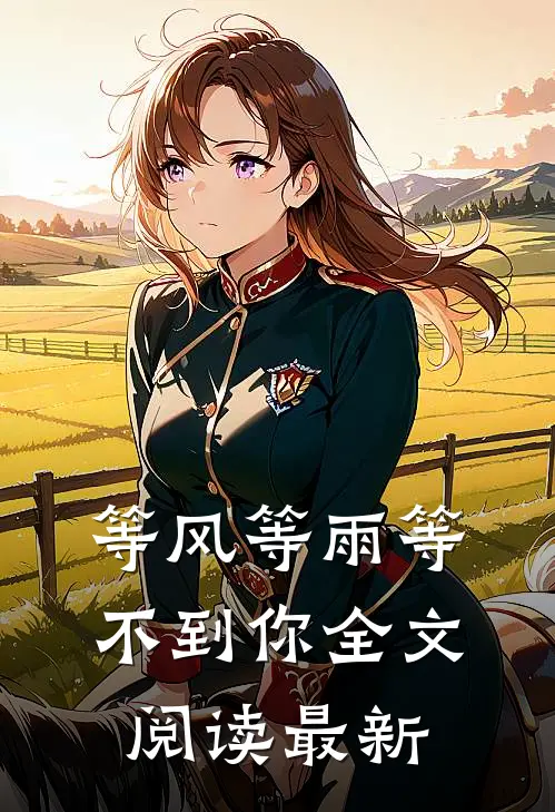 等风等雨等不到你全文阅读最新