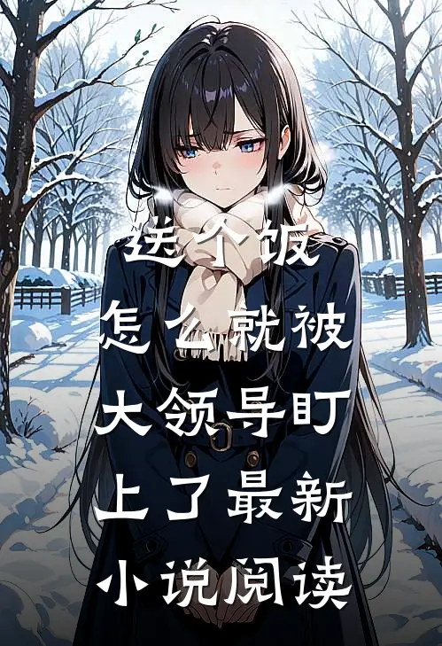 送个饭，怎么就被大领导盯上了最新小说阅读