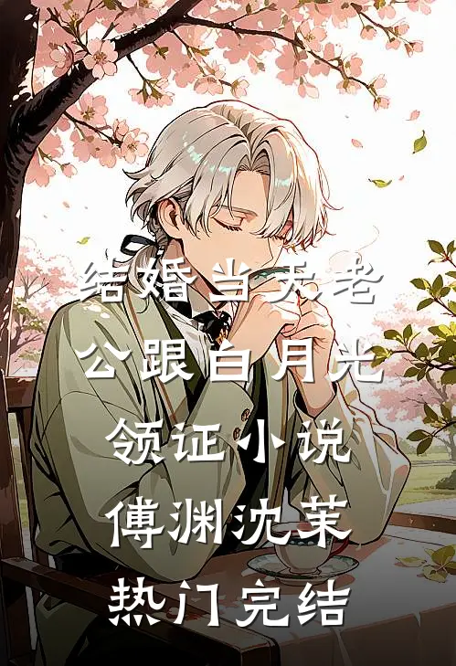 结婚当天老公跟白月光领证小说傅渊沈茉热门完结