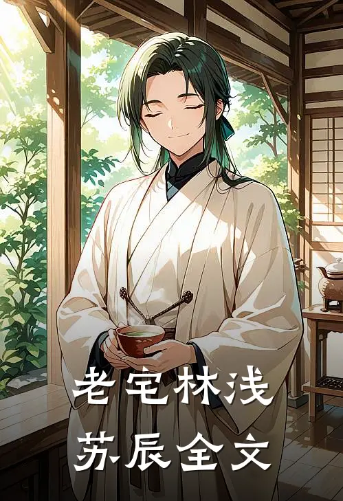 《老宅》林浅苏辰全文