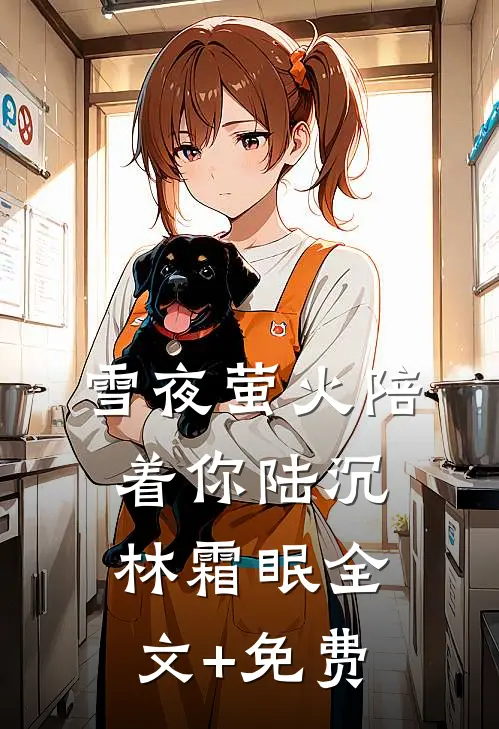 雪夜萤火陪着你陆沉林霜眠全文+免费