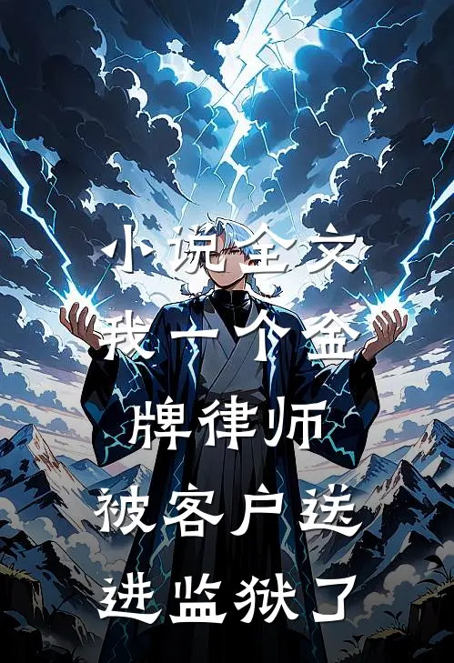 小说全文我一个金牌律师，被客户送进监狱了
