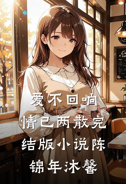 爱不回响，情已两散完结版小说陈锦年沐馨