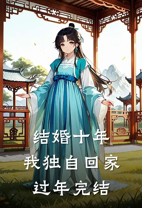 结婚十年，我独自回家过年完结
