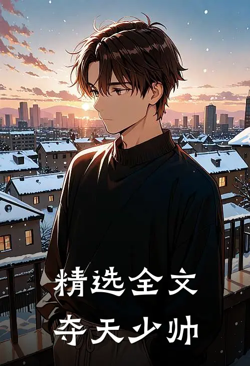 精选全文夺天少帅