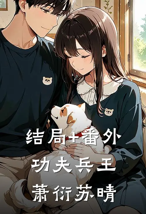 结局+番外功夫兵王萧衍苏晴