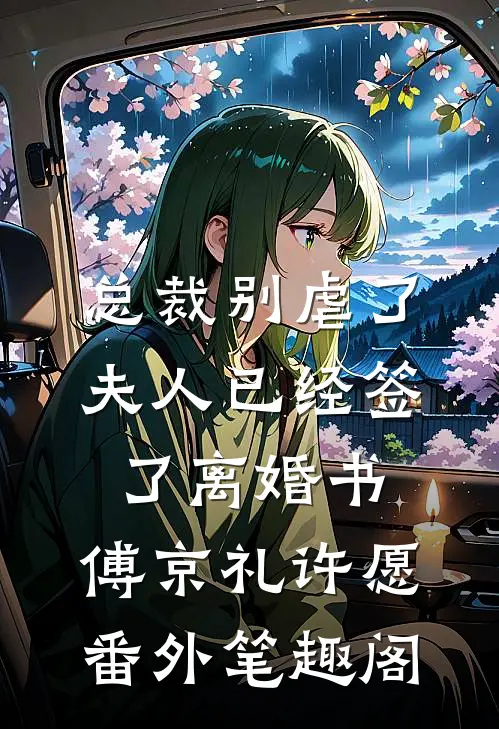 总裁别虐了，夫人已经签了离婚书：傅京礼许愿番外笔趣阁
