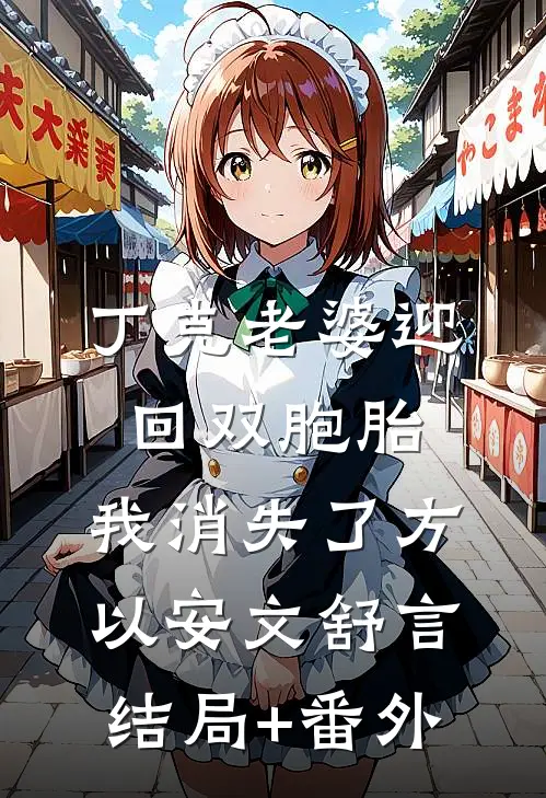 丁克老婆迎回双胞胎，我消失了方以安文舒言结局+番外