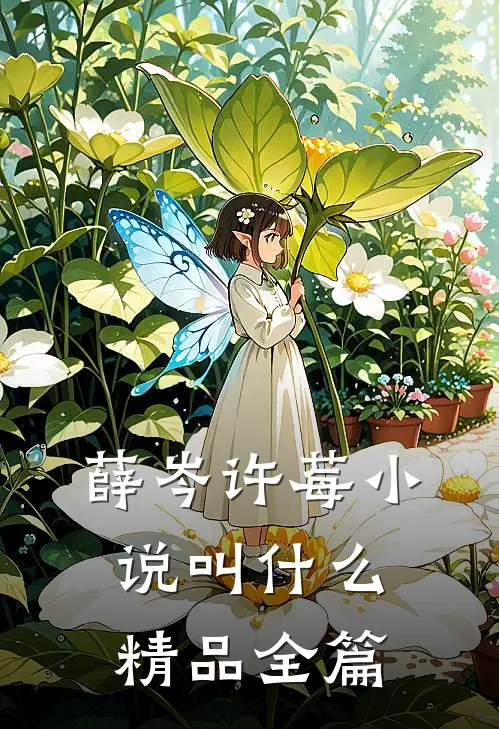 薛岑许莓小说叫什么精品全篇