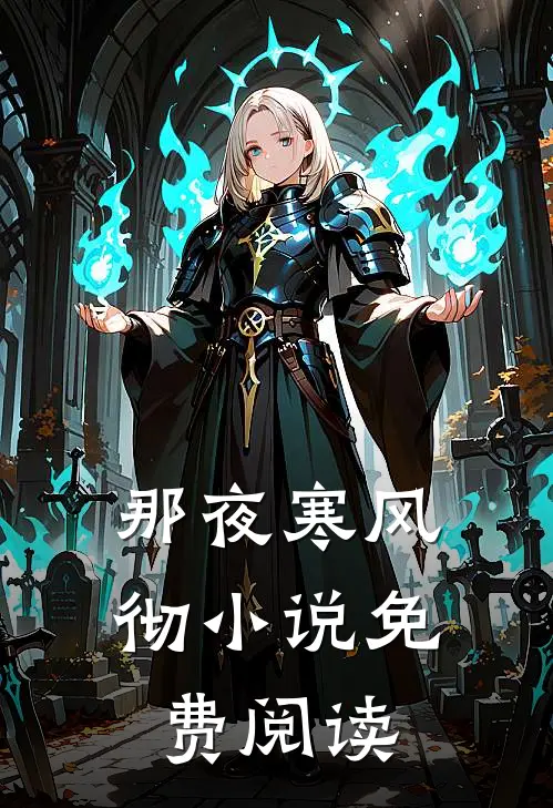 那夜寒风彻小说免费阅读