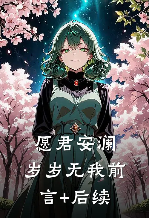 愿君安澜，岁岁无我前言+后续