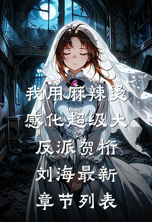 我用麻辣烫感化超级大反派贺桁刘海最新章节列表