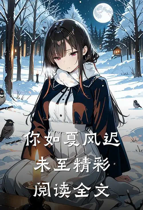你如夏风迟未至精彩阅读全文