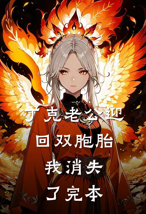 丁克老公迎回双胞胎，我消失了完本