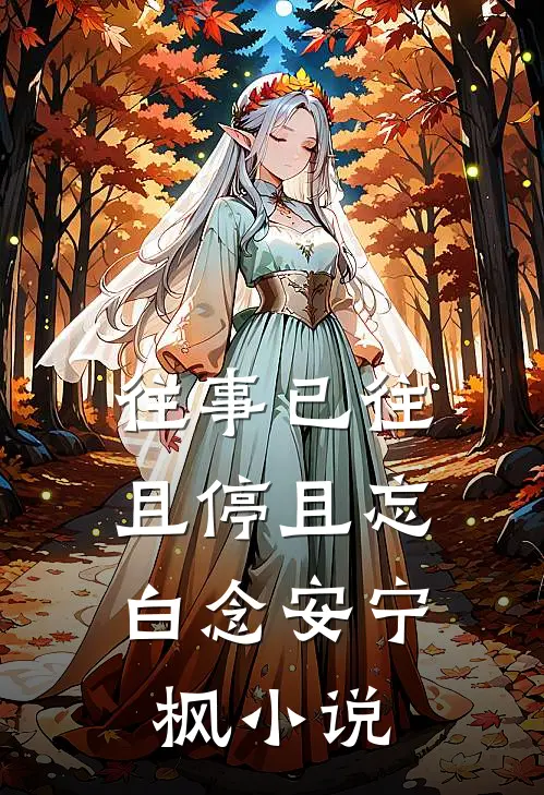 往事已往，且停且忘白念安宁枫小说