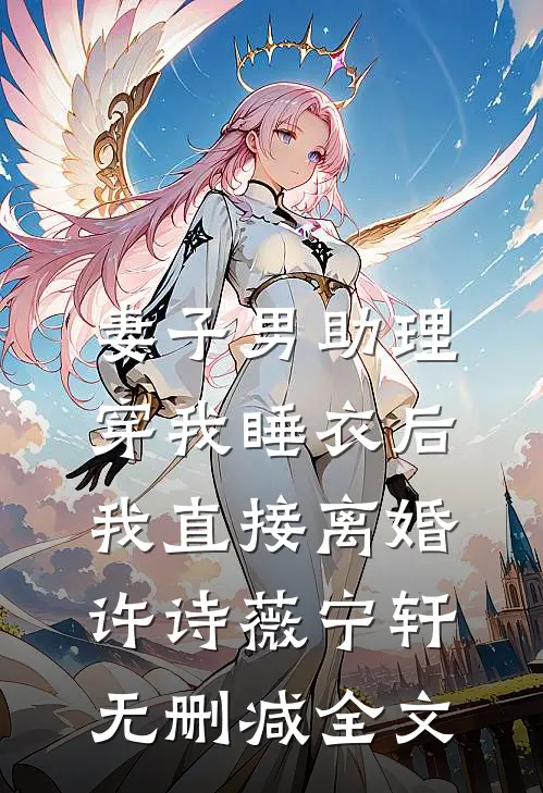 妻子男助理穿我睡衣后，我直接离婚许诗薇宁轩无删减全文