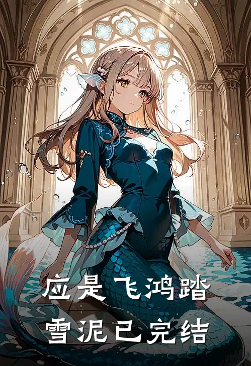 应是飞鸿踏雪泥已完结